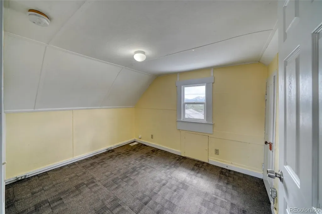 1117 Poplar Street Leadville CO 80461