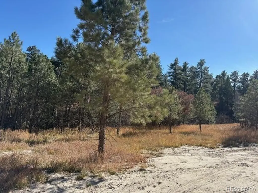 3715 El Rancho Way Monument CO 80132