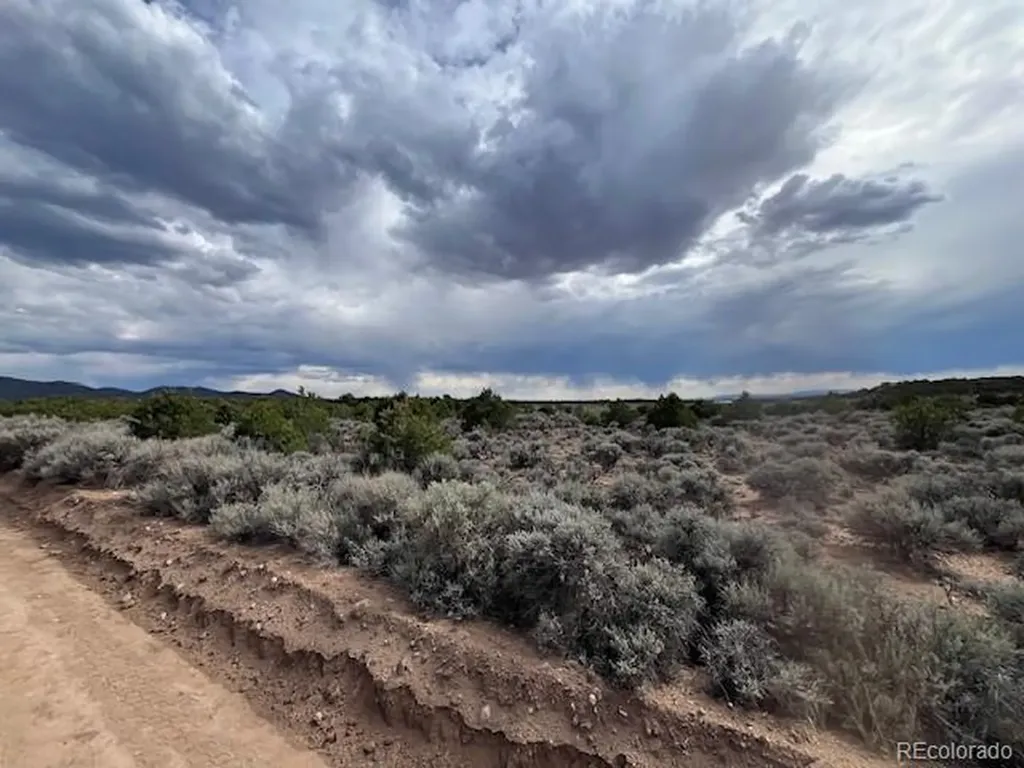 Lot 989 Bateman Road Fort Garland CO 81133