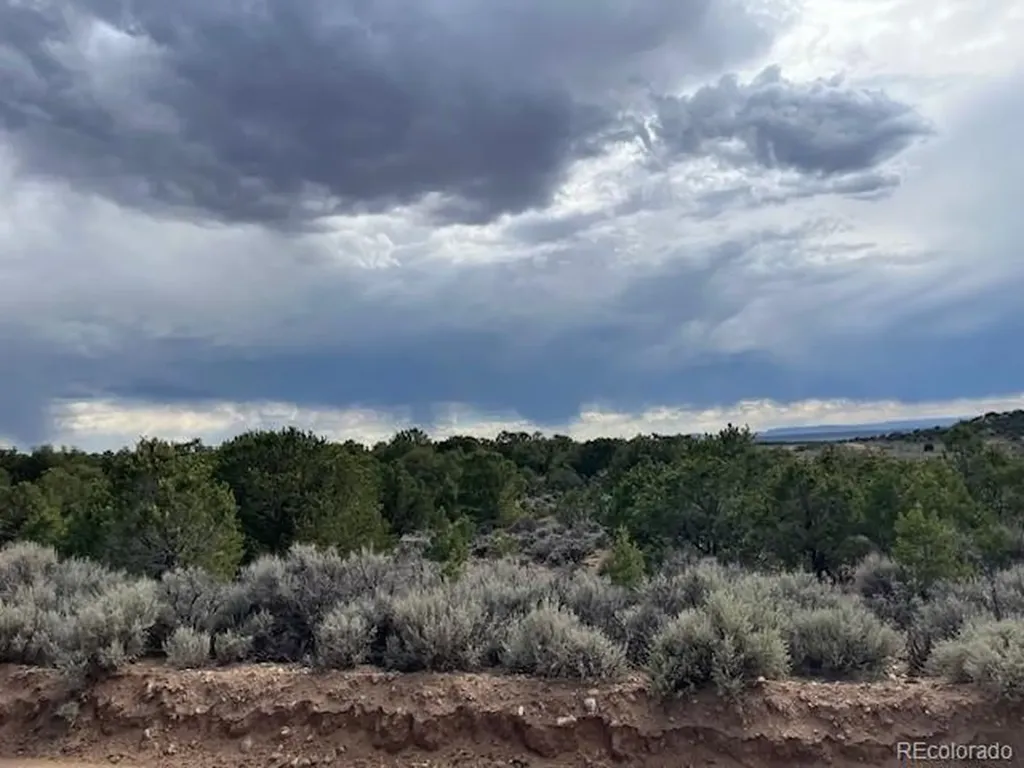 Lot 989 Bateman Road Fort Garland CO 81133
