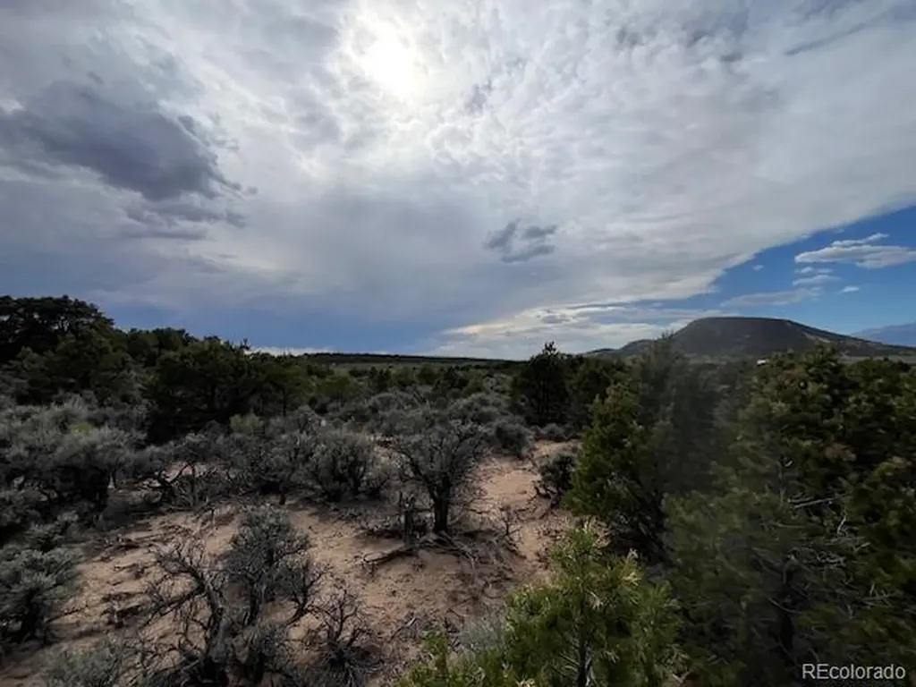 Lot 989 Bateman Road Fort Garland CO 81133