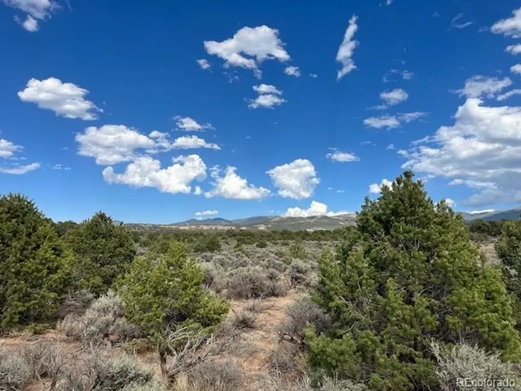 Lot 989 Bateman Road Fort Garland CO 81133