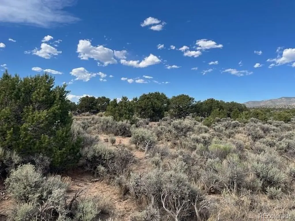 Lot 989 Bateman Road Fort Garland CO 81133