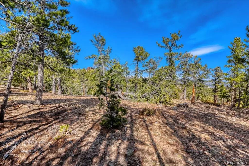33149 Janelle Circle Golden CO 80403