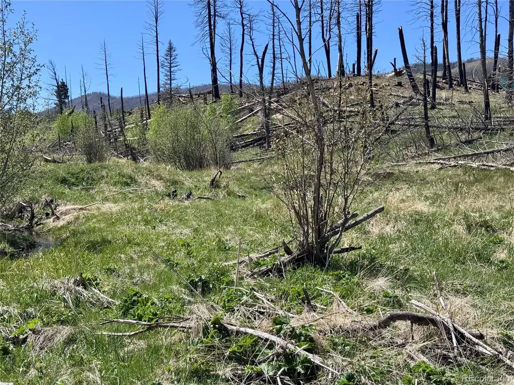 Lot 1005 Foy Place Fort Garland CO 81133