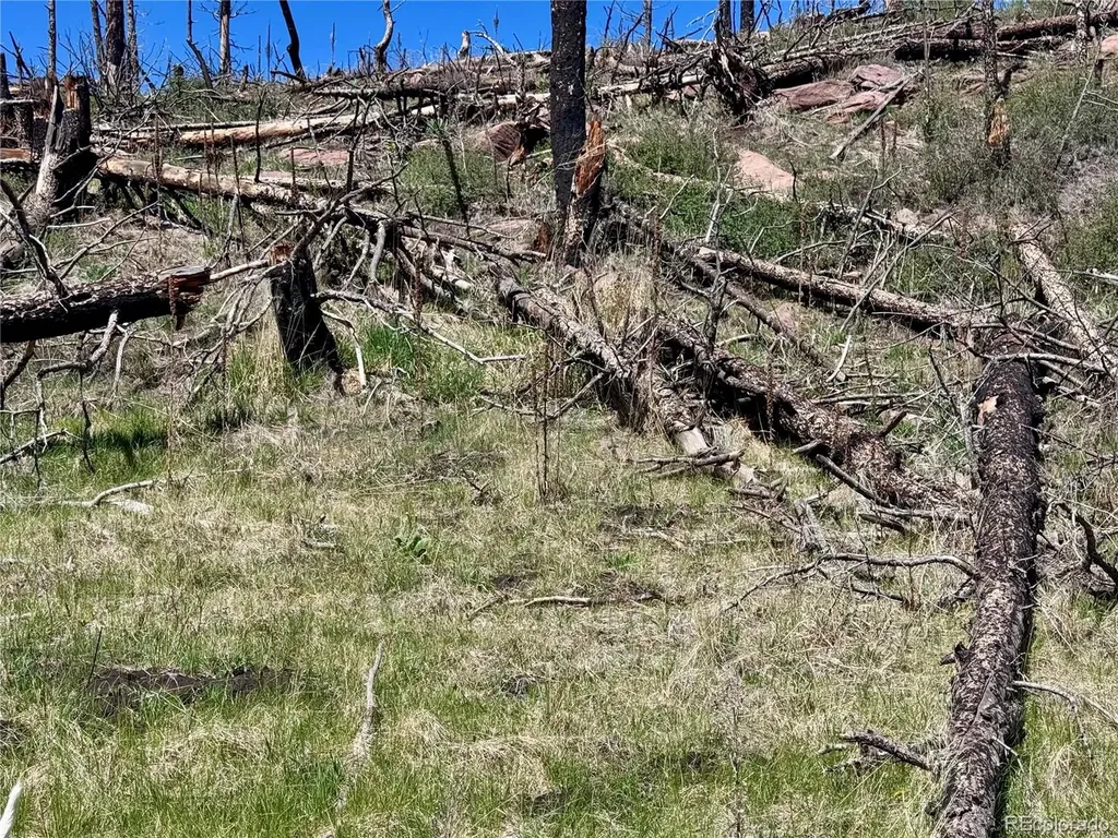 Lot 1005 Foy Place Fort Garland CO 81133
