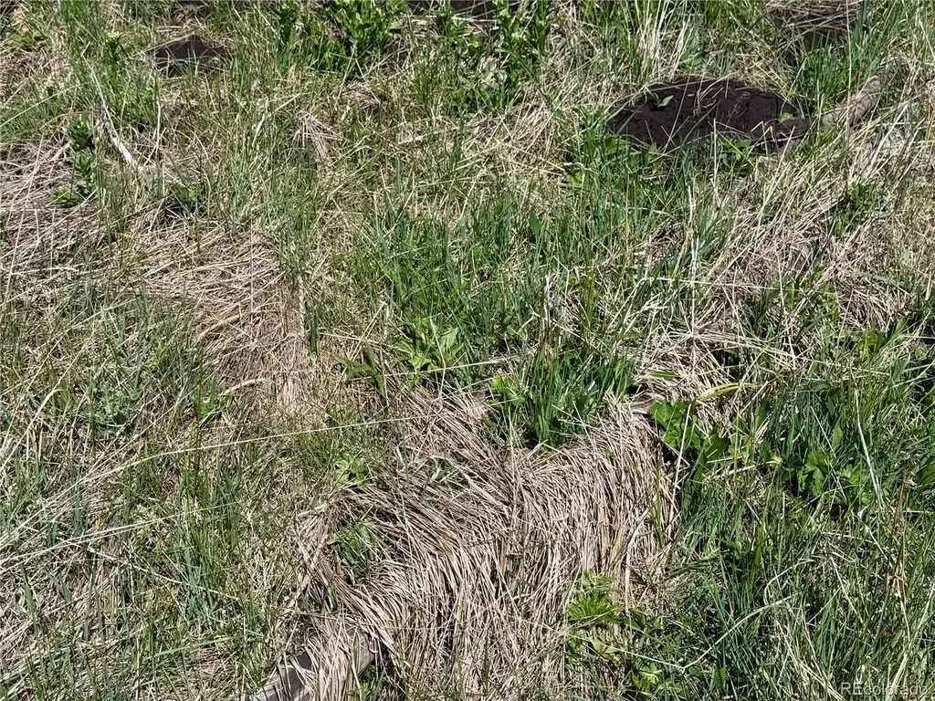 Lot 1005 Foy Place Fort Garland CO 81133