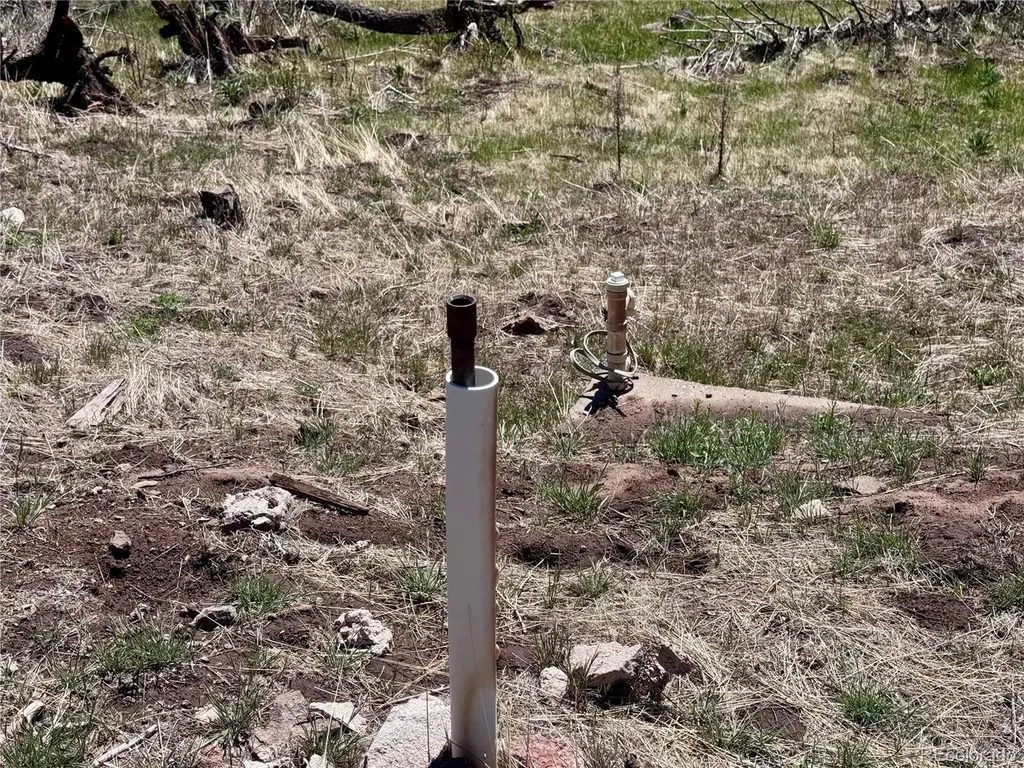 Lot 1005 Foy Place Fort Garland CO 81133