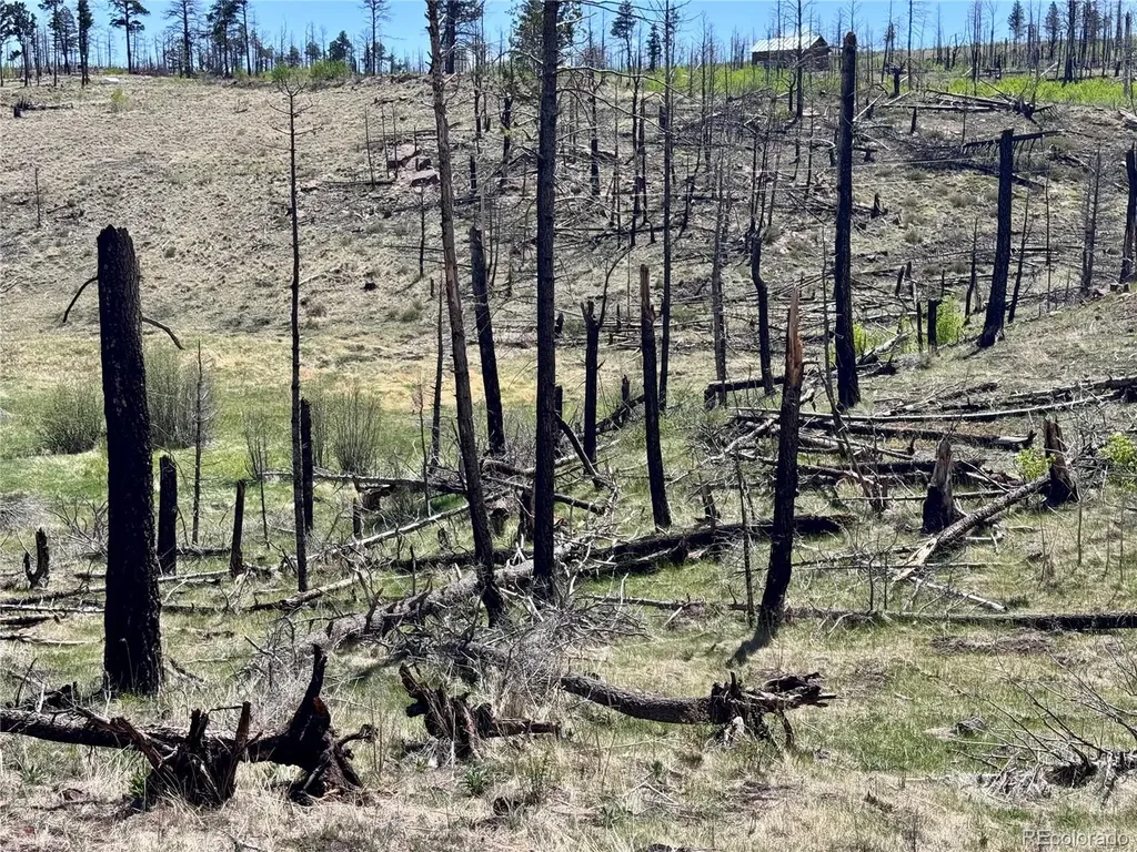 Lot 1005 Foy Place Fort Garland CO 81133
