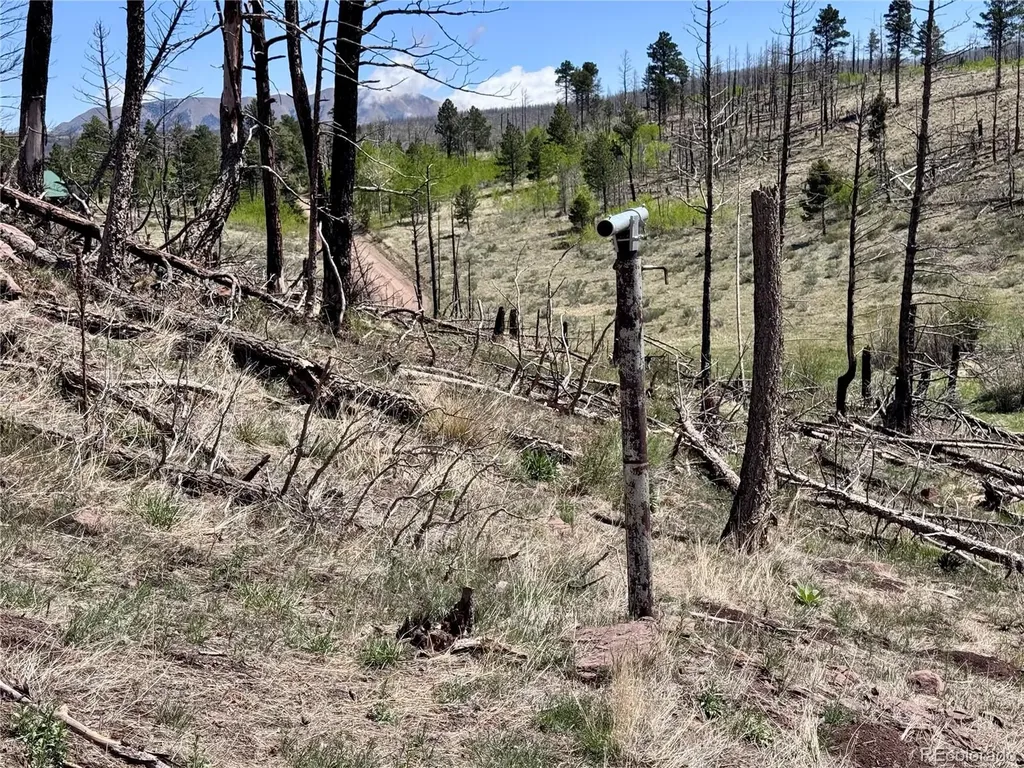 Lot 1005 Foy Place Fort Garland CO 81133