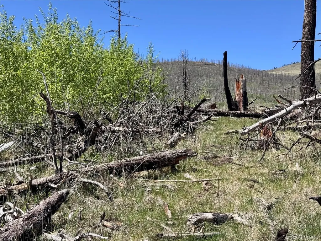 Lot 1005 Foy Place Fort Garland CO 81133