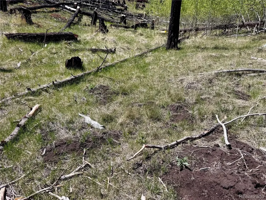 Lot 1005 Foy Place Fort Garland CO 81133