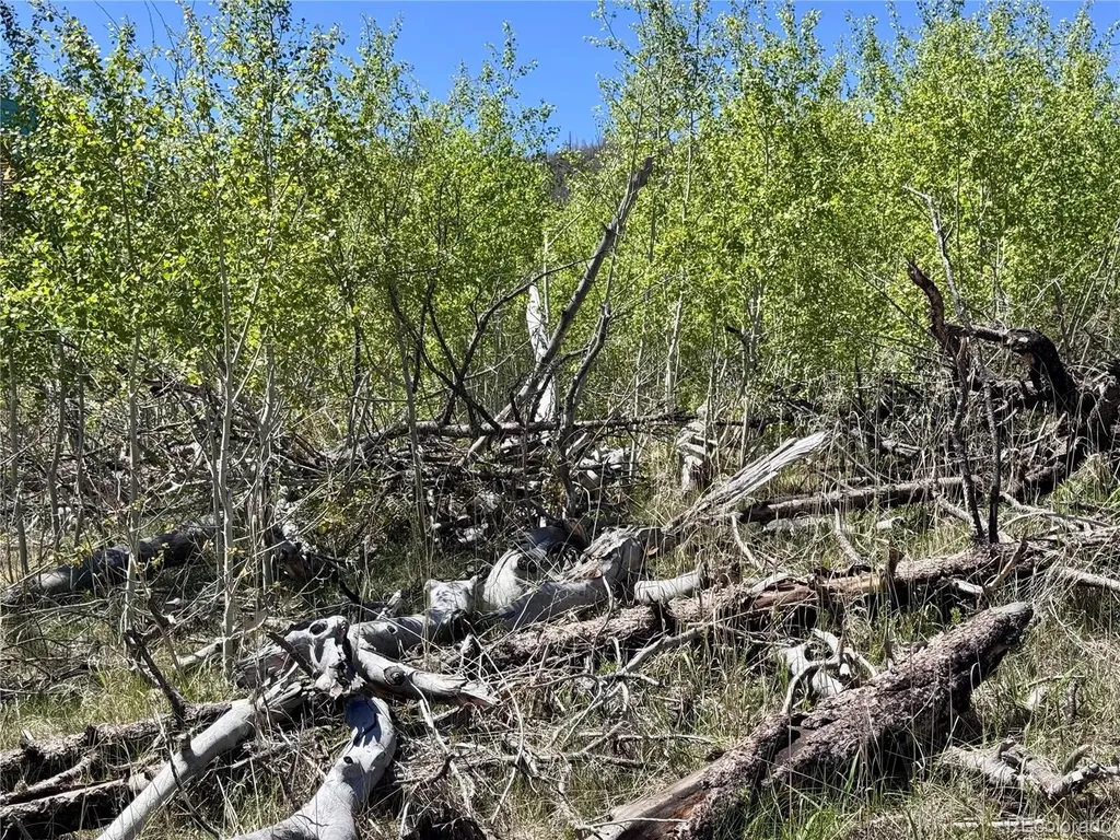 Lot 1005 Foy Place Fort Garland CO 81133