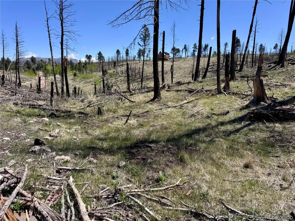 Lot 1005 Foy Place Fort Garland CO 81133