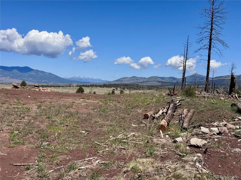 Lot 1005 Foy Place Fort Garland CO 81133