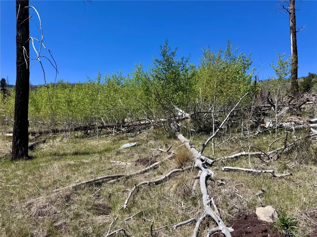 Lot 1005 Foy Place Fort Garland CO 81133