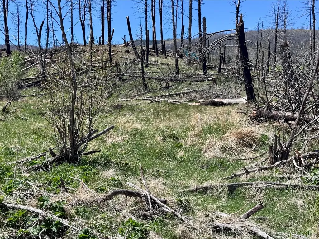 Lot 1005 Foy Place Fort Garland CO 81133