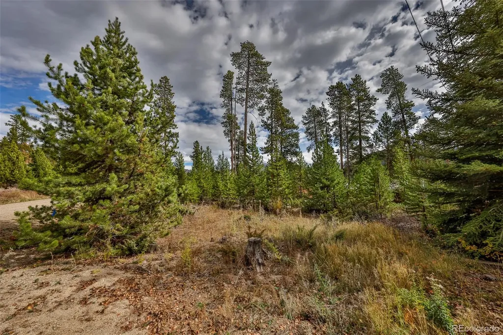 88 Leewood Road Grand Lake CO 80447