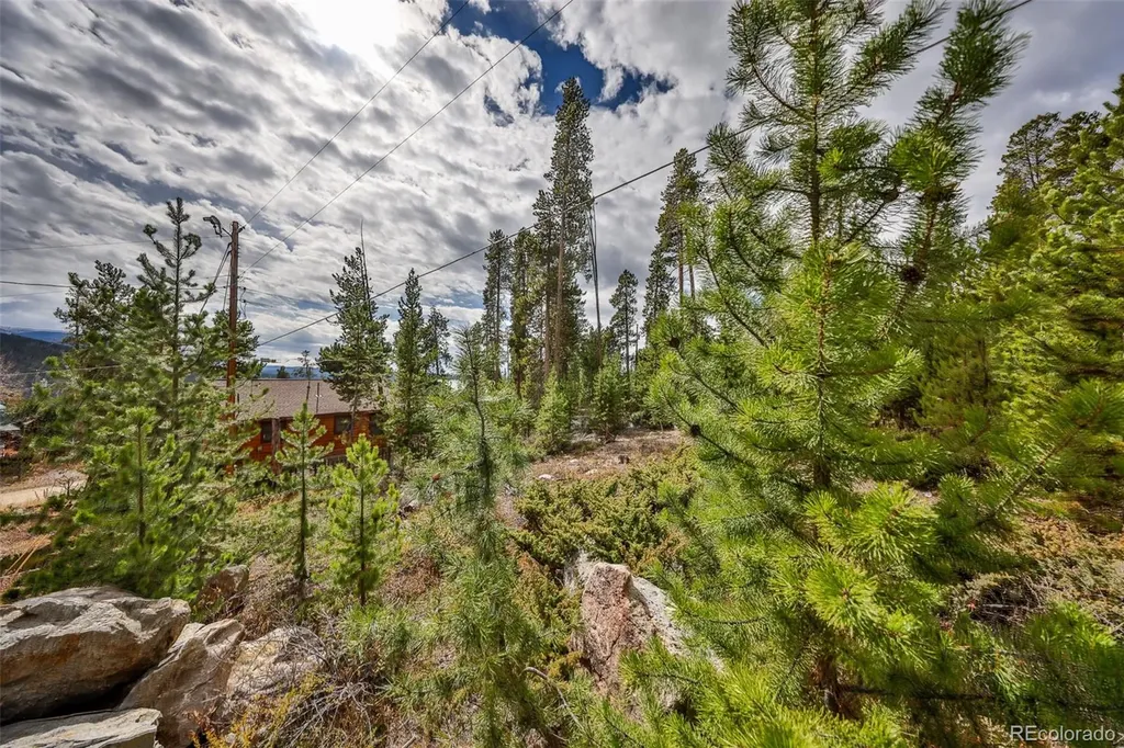 88 Leewood Road Grand Lake CO 80447