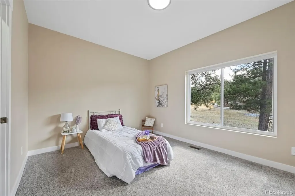 108 High Pasture Road Florissant CO 80816