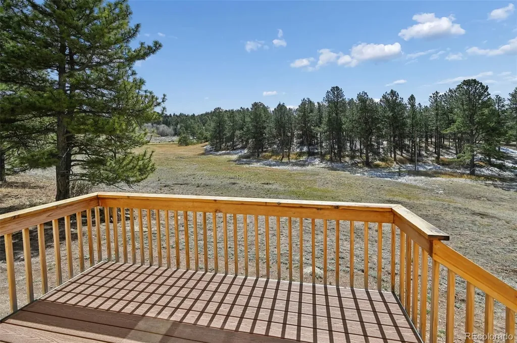 108 High Pasture Road Florissant CO 80816