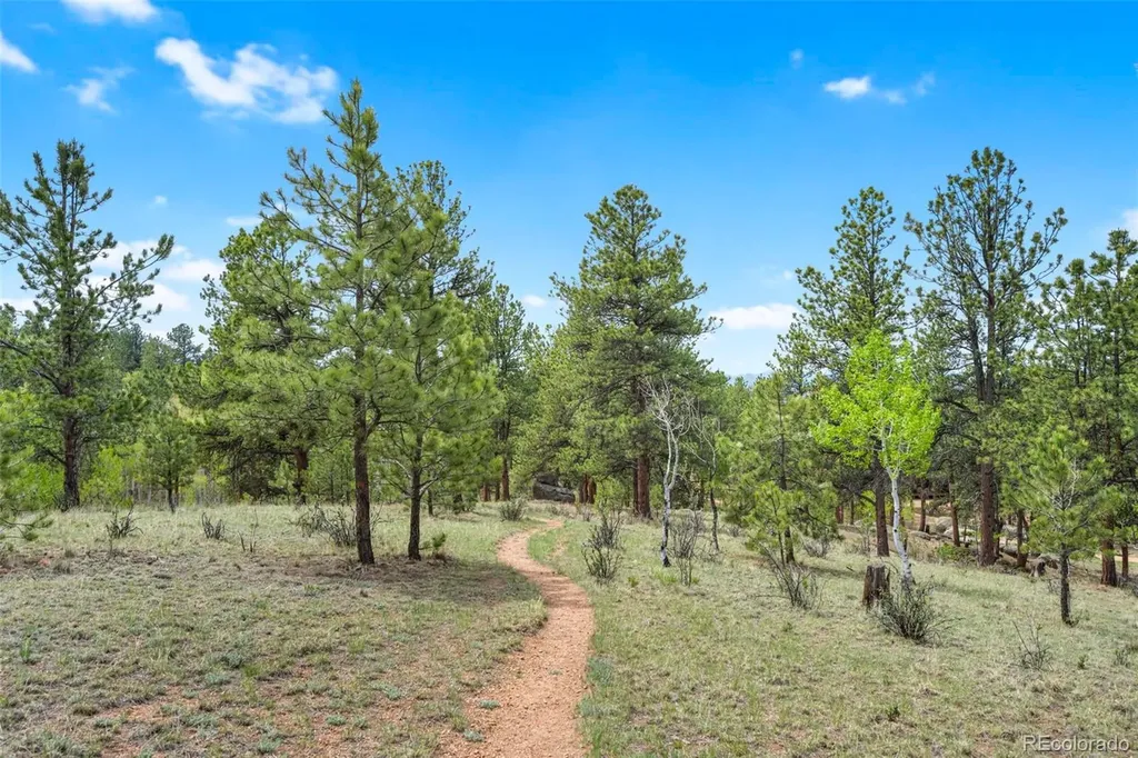 605 Obsidian Drive Florissant CO 80816