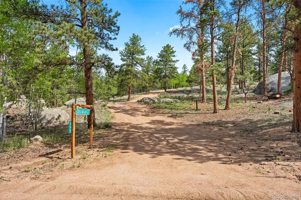 605 Obsidian Drive Florissant CO 80816