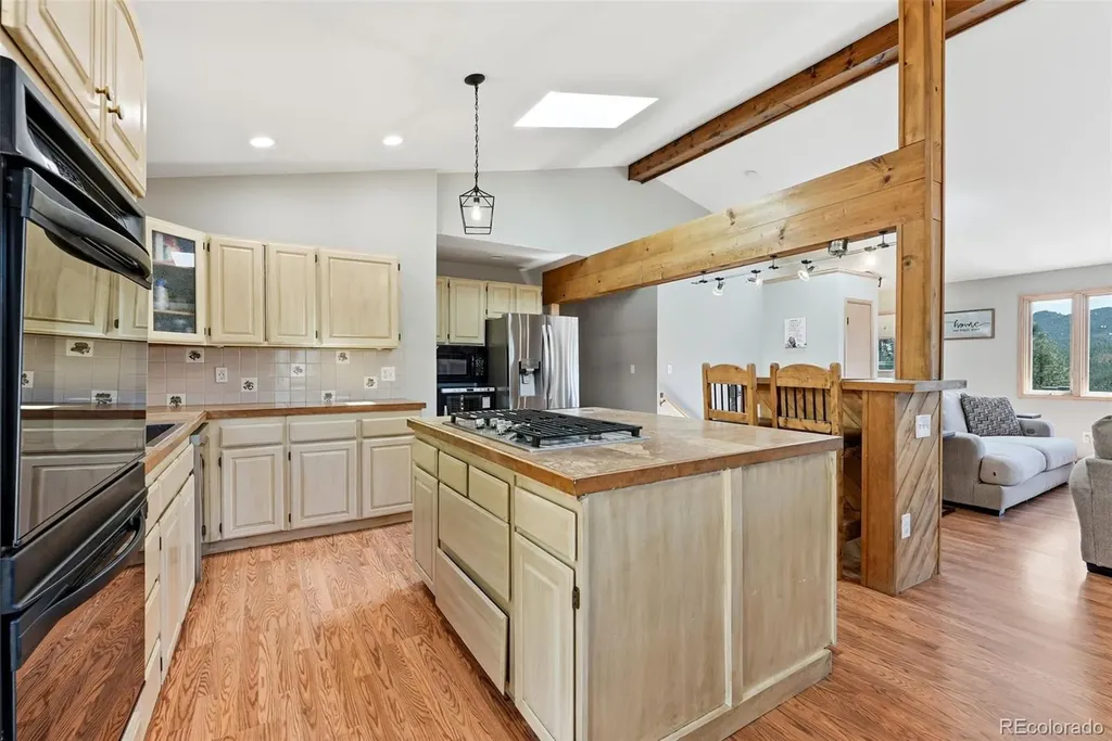 16687 Ouray Road W Pine CO 80470