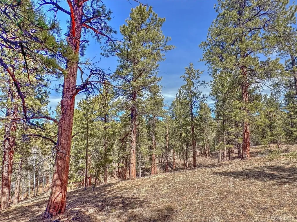 426 Arapaho Road Westcliffe CO 81252