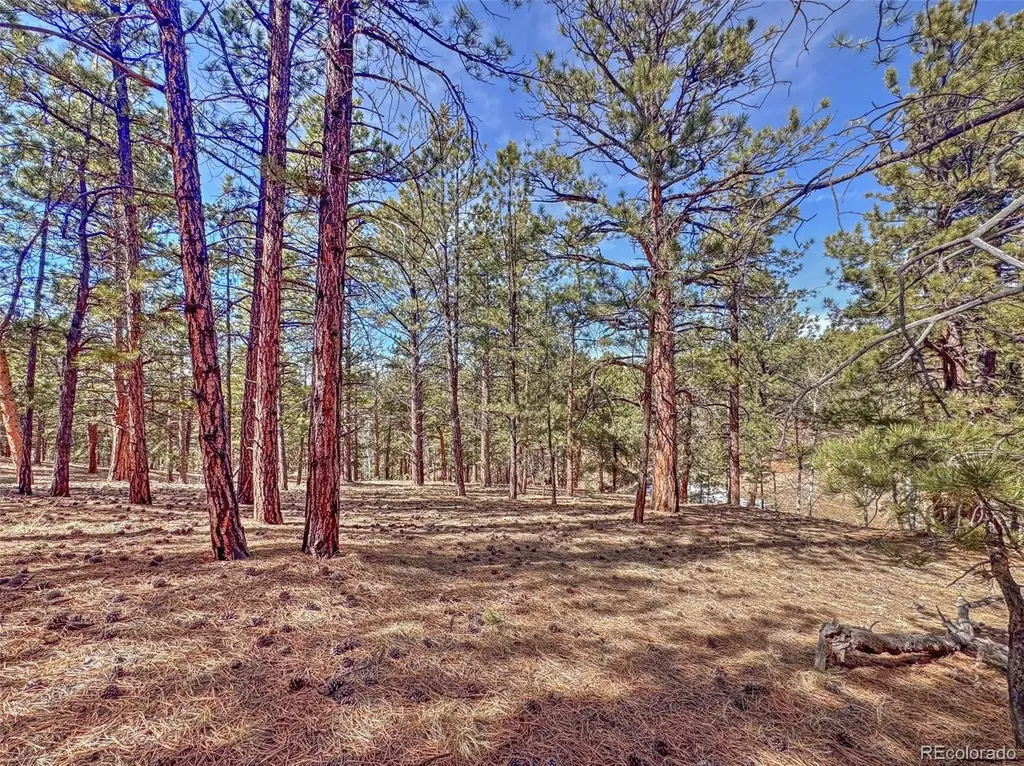 426 Arapaho Road Westcliffe CO 81252