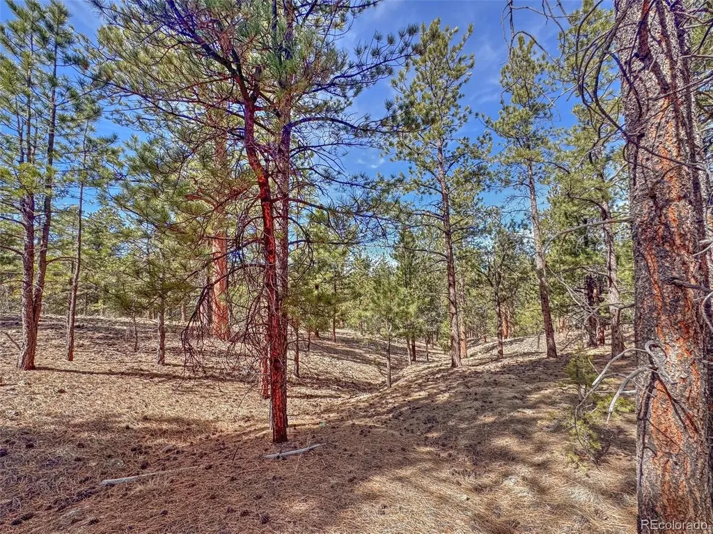 426 Arapaho Road Westcliffe CO 81252