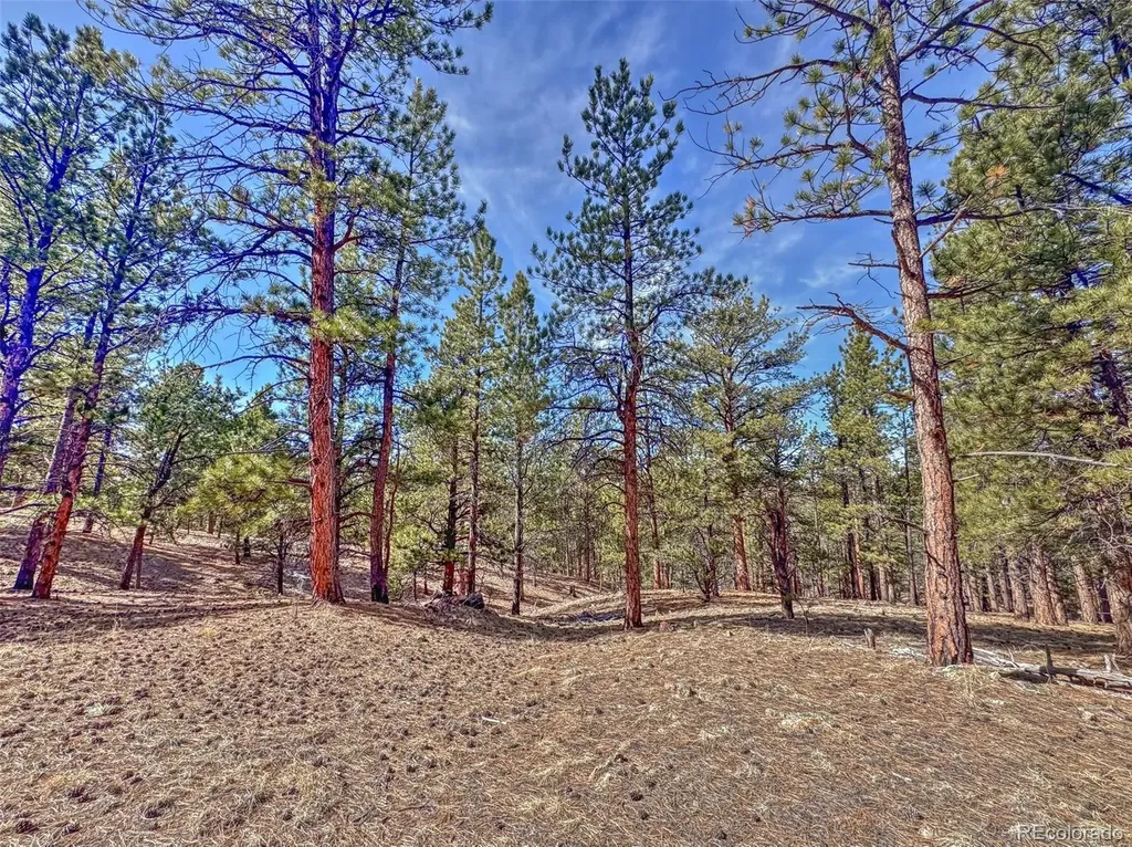 426 Arapaho Road Westcliffe CO 81252