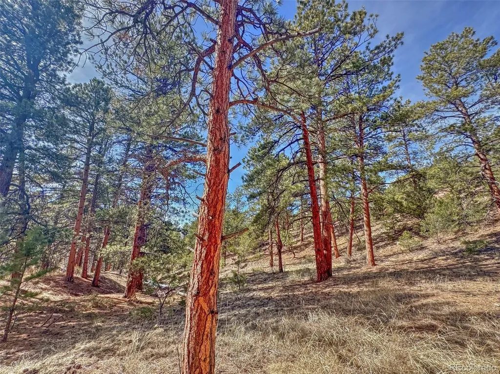 426 Arapaho Road Westcliffe CO 81252