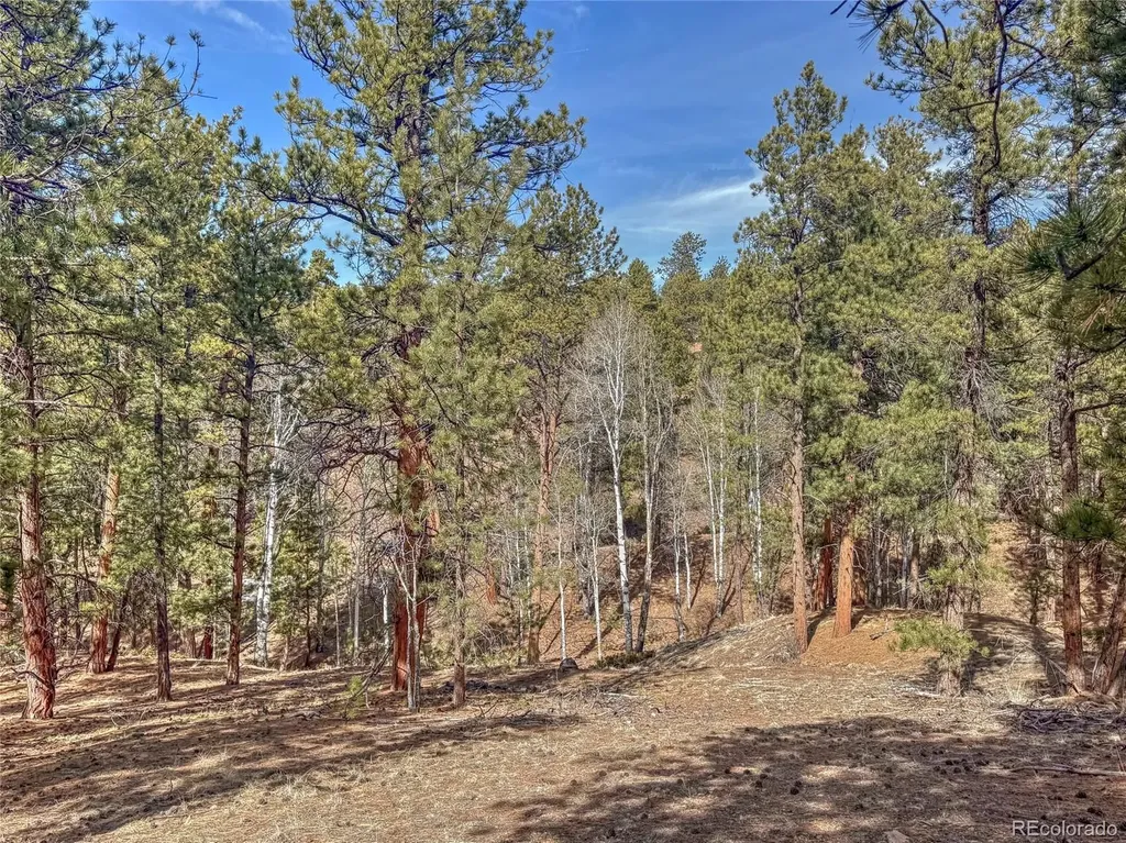 426 Arapaho Road Westcliffe CO 81252