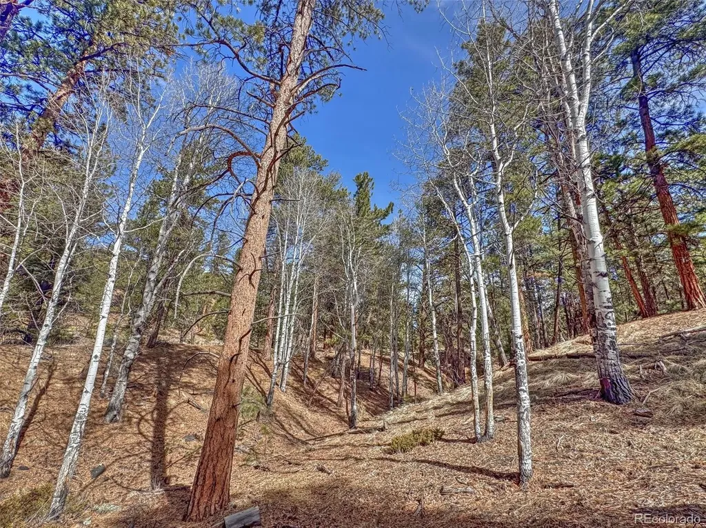 426 Arapaho Road Westcliffe CO 81252