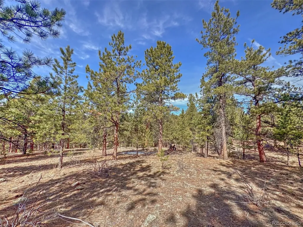 426 Arapaho Road Westcliffe CO 81252
