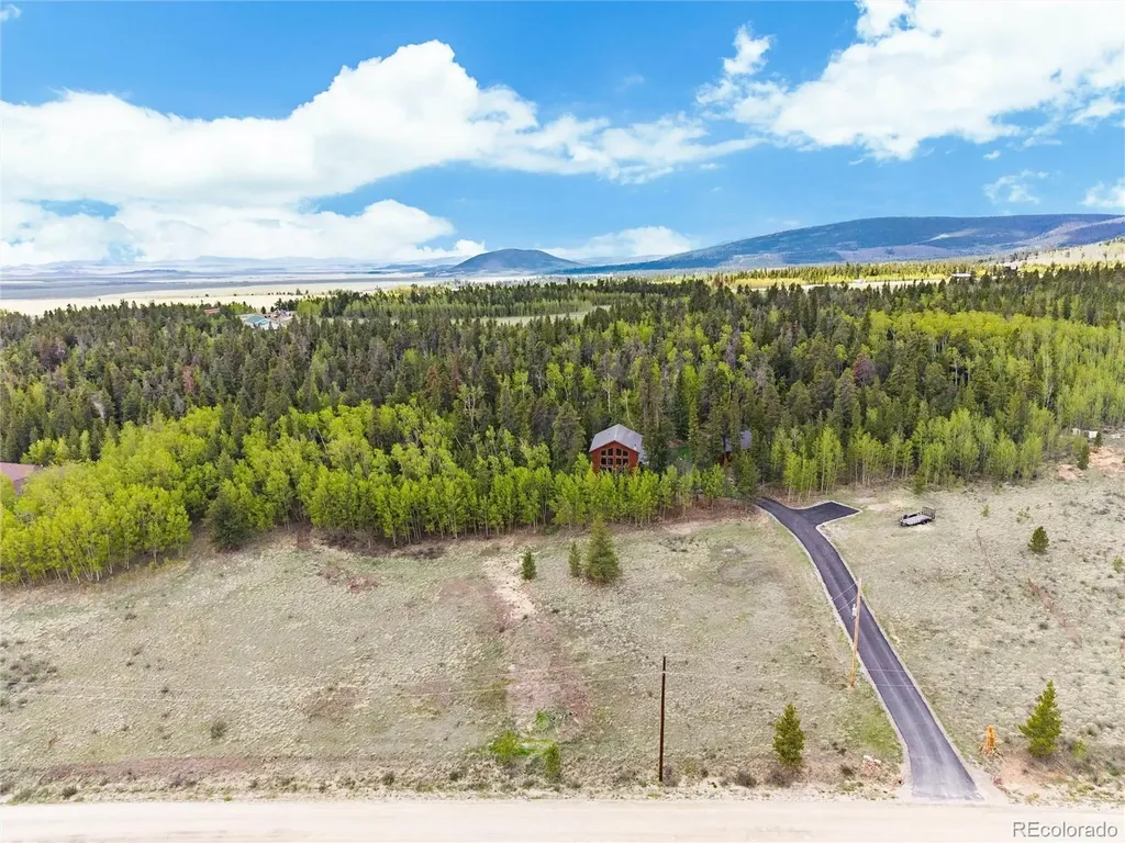 36 Wild Rye Road Fairplay CO 80440