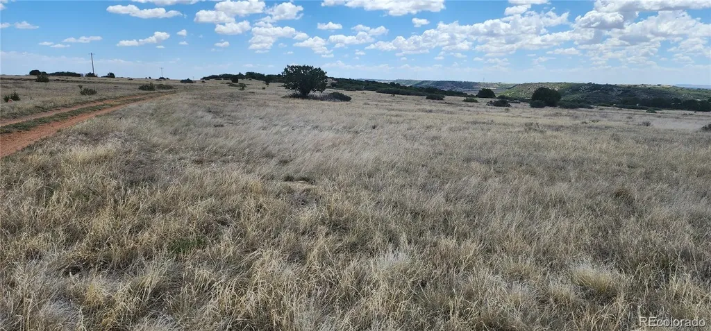 Lot 333 Patsy Circle Colorado City CO 81019