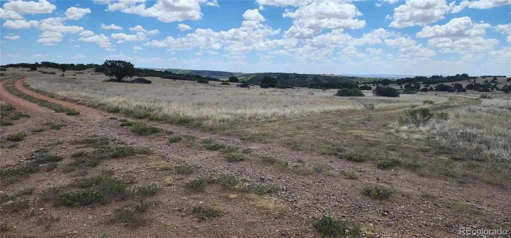 Lot 333 Patsy Circle Colorado City CO 81019