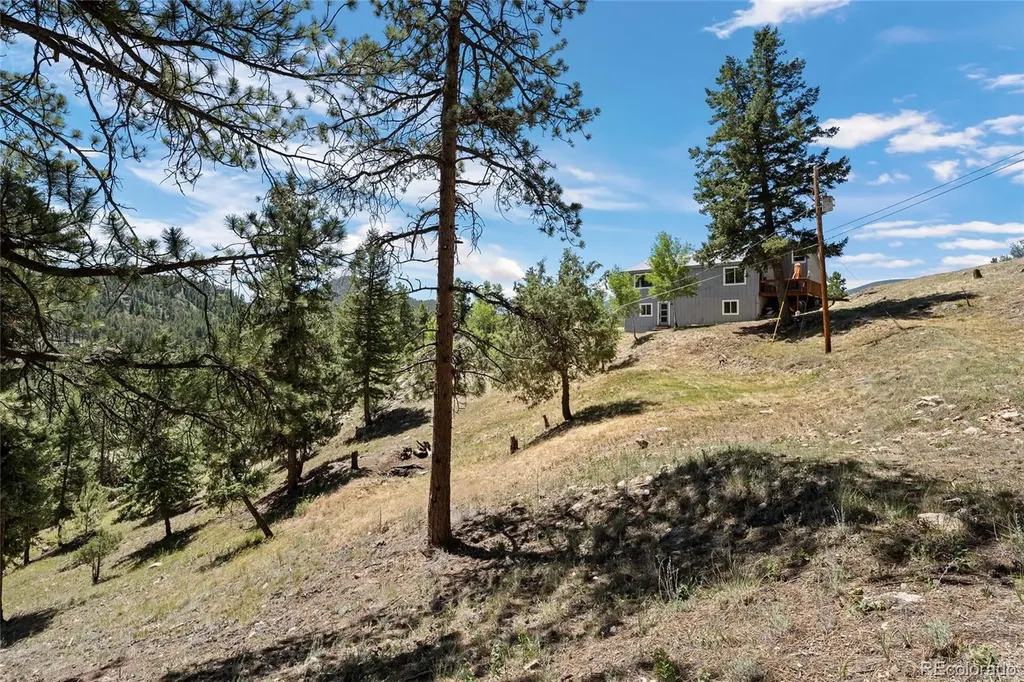 1729 Crow Valley Road Bailey CO 80421