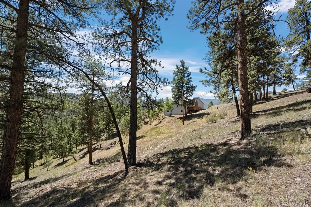 1729 Crow Valley Road Bailey CO 80421