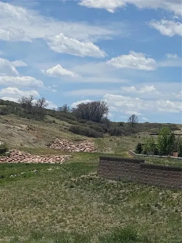 17758 E Emilia Drive Parker CO 80134