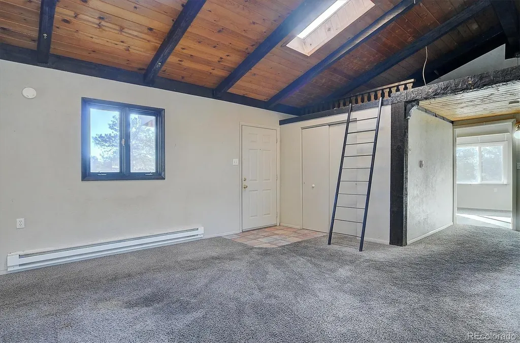 31320 County Road 384 A Buena Vista CO 81211