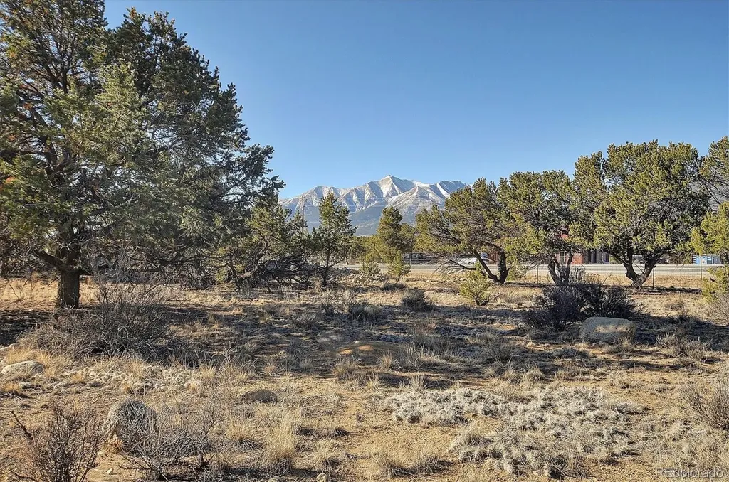 31320 County Road 384 A Buena Vista CO 81211
