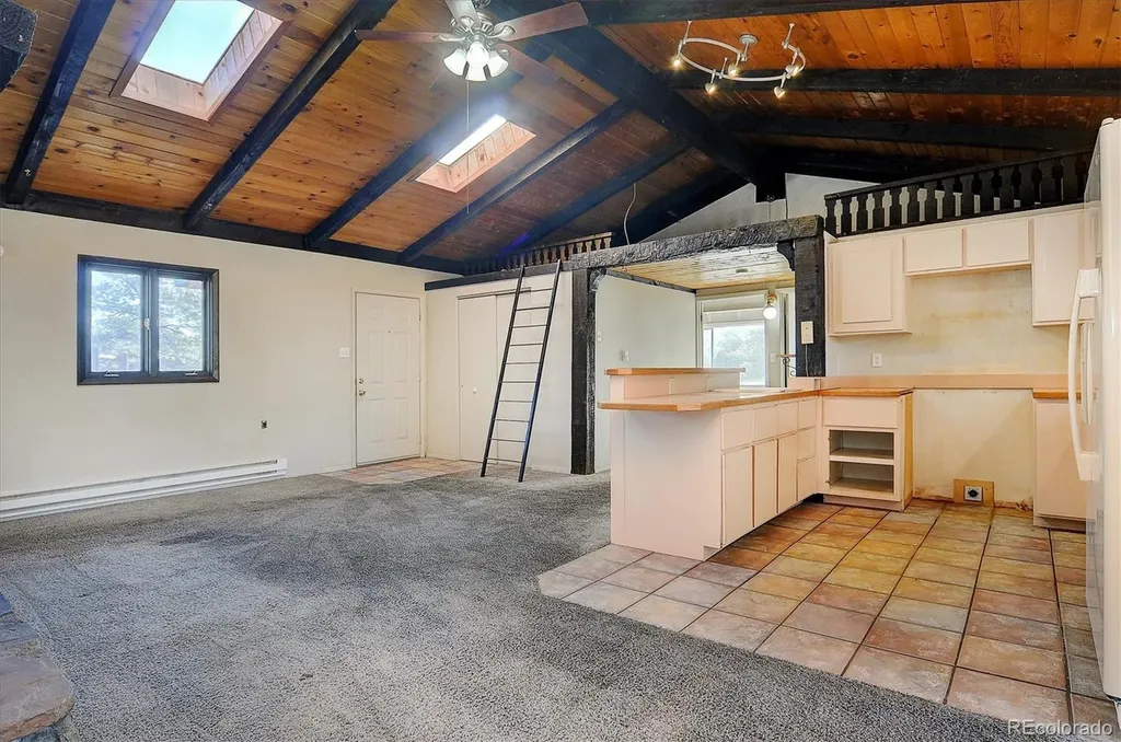 31320 County Road 384 A Buena Vista CO 81211