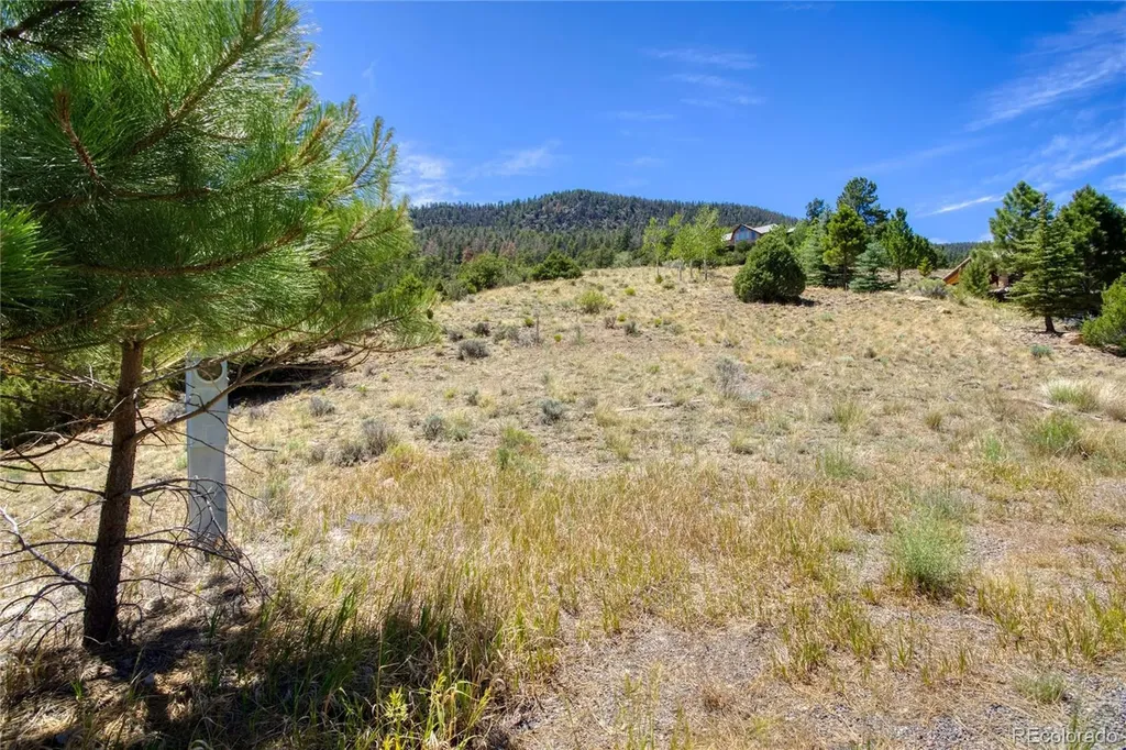 120 Fairway Ridge Lane South Fork CO 81154