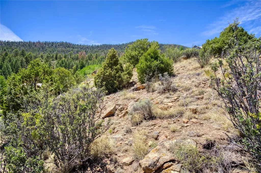 120 Fairway Ridge Lane South Fork CO 81154