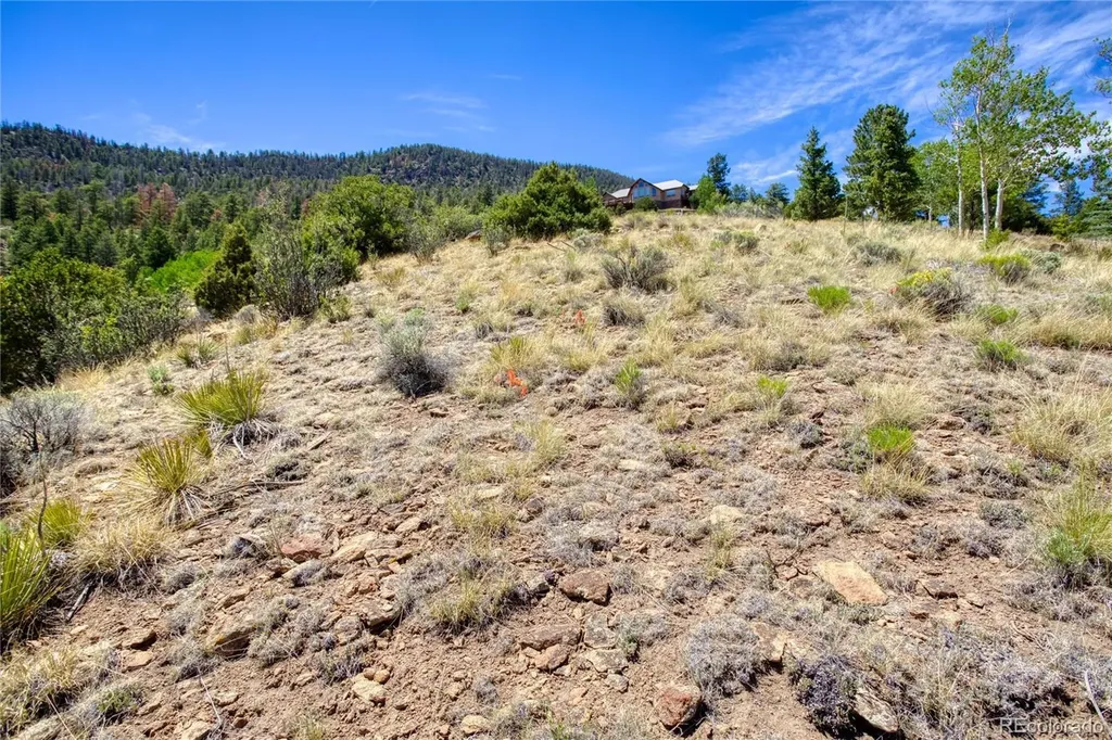 120 Fairway Ridge Lane South Fork CO 81154