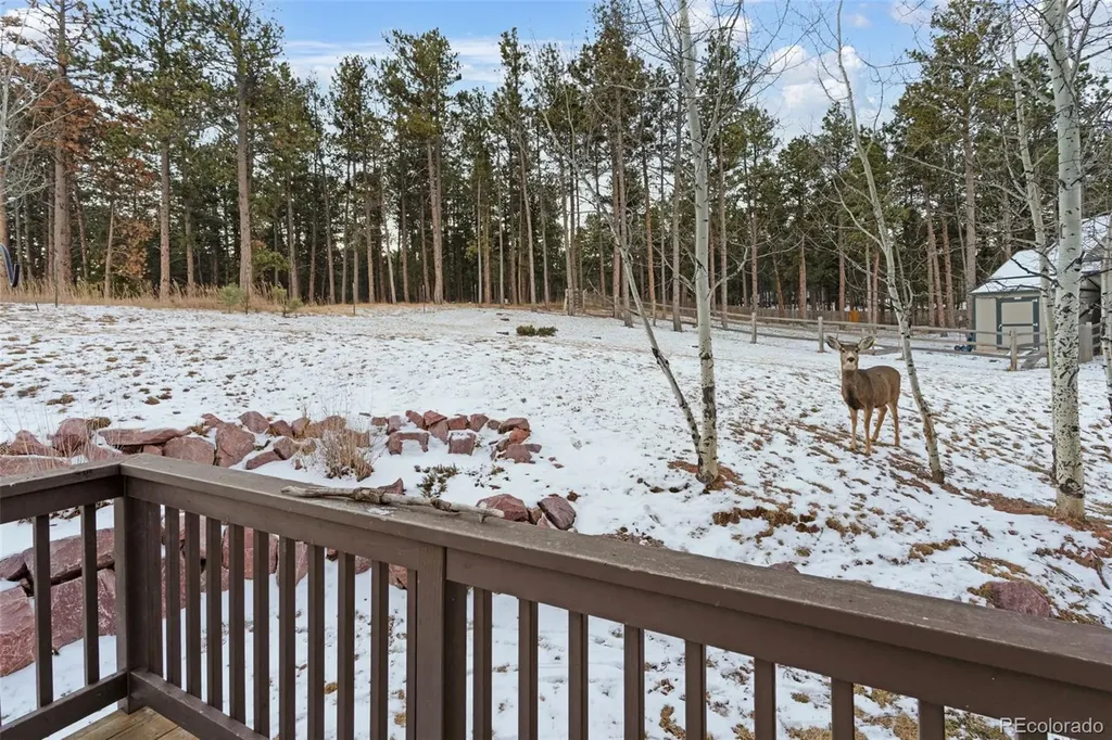 1157 Ptarmigan Drive Woodland Park CO 80863