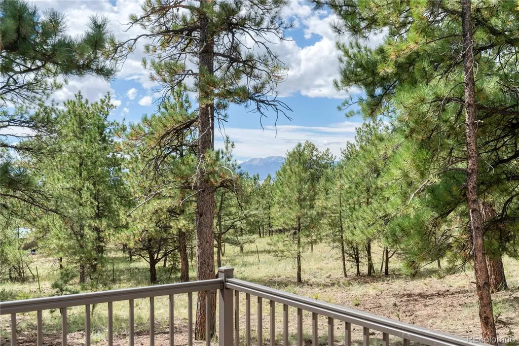 2796 Black Fawn Lane Westcliffe CO 81252